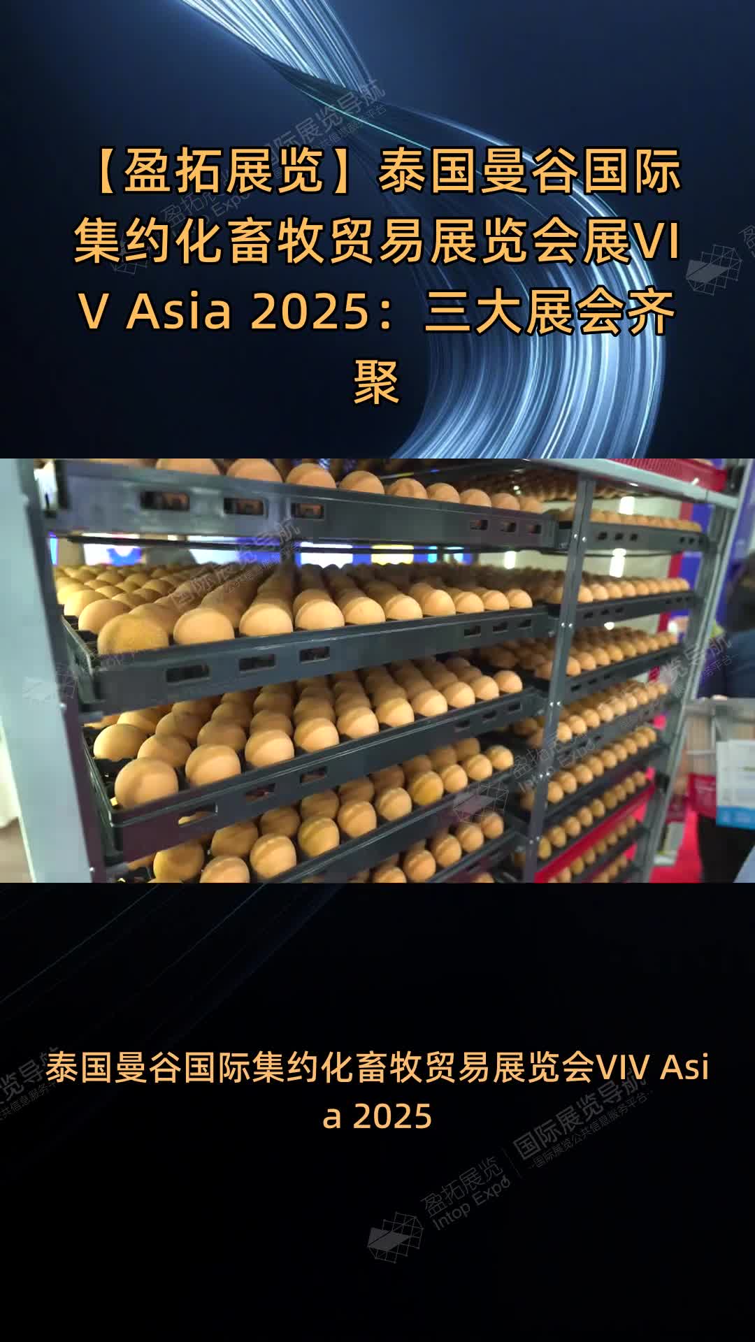 【盈拓展览】泰国曼谷国际集约化畜牧贸易展览会展VIV Asia 2025：三大展会齐聚