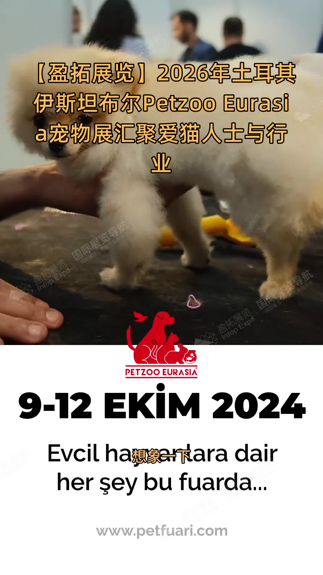 【盈拓展览】2026年土耳其伊斯坦布尔Petzoo Eurasia宠物展汇聚爱猫人士与行业